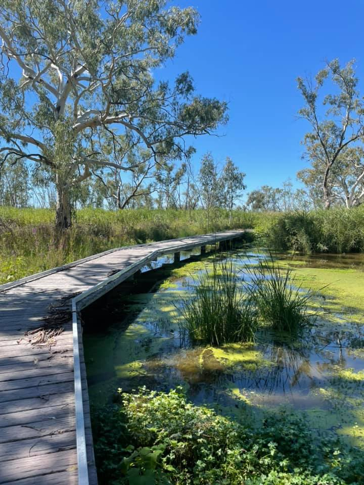 Burrima Boardwalk Macquarie Marshes Walgett Shire Council