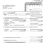 California DE 9 And DE 9C Fileable Reports