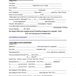 Fillable New Employee Form Printable Pdf Download