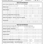 Louisiana New Hire rehire Form New Hire Reporting Printable Pdf Download