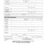 New Hire Reporting Form Texas Printable Pdf Download