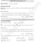 New Jersey New Hire Reporting Form Printable Pdf Download