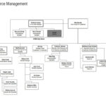 Organization Chart Human Resource Management