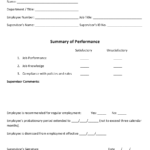 Probationary Period Review Form Download Printable PDF Templateroller
