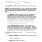 Professional Terms Of Service Contract Template Example Theearthe